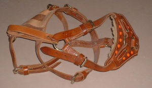 Support Harness